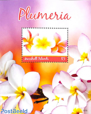 Plumeria s/s